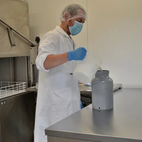 Jumenterie de Cornouaille